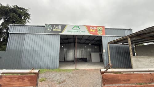 Local comercial en alquiler en El Pinar — foto 1